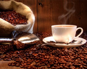 Cofee_Cafegiicupedigree